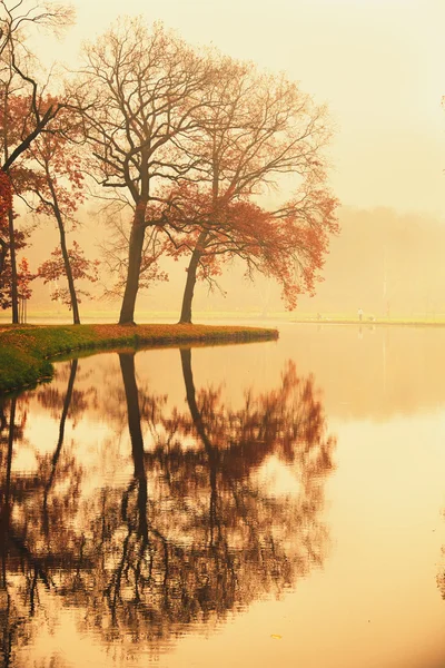 Lago en el parque de otoño — Foto de Stock