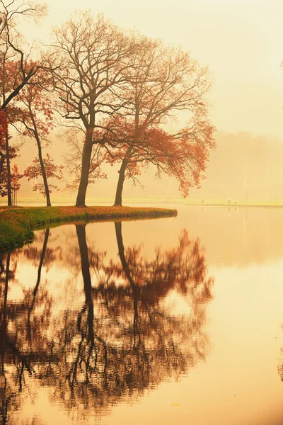 Lago no parque de outono — Fotografia de Stock