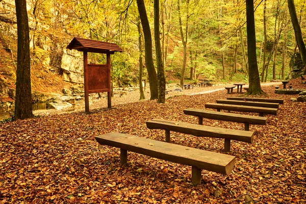 Autumn forest camp — Stock Photo, Image