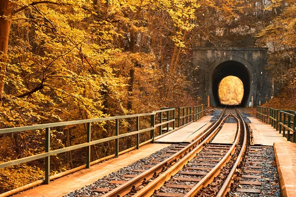 Demiryolu sonbahar orman — Stok fotoğraf