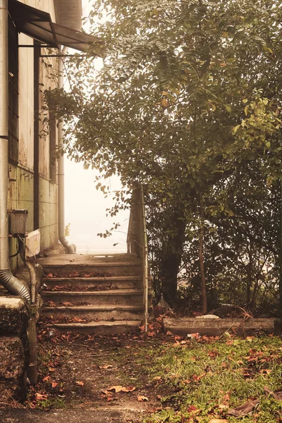 오래 된 집과 나무 — 스톡 사진