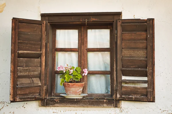 Holzfenster Topf mit Blume — Stockfoto