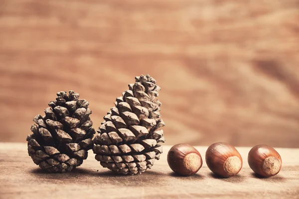 Piante autunnali su fondo di legno — Foto Stock