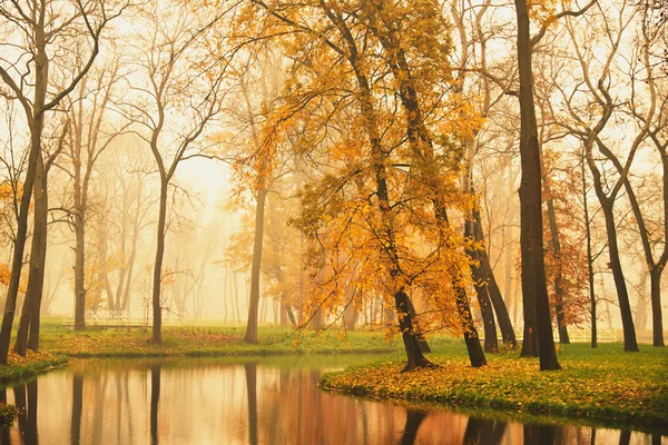 Lac dans le parc d'automne — Photo