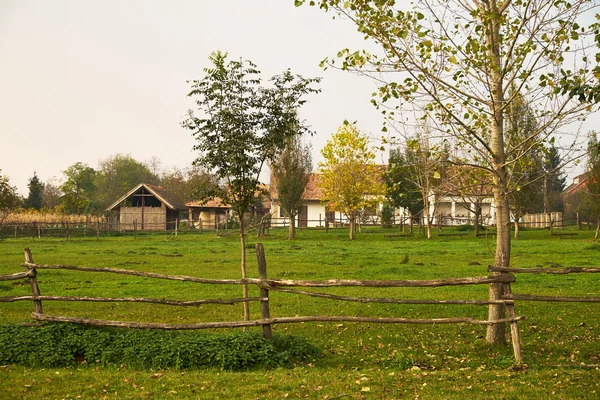 Árboles otoñales y prado verde — Foto de Stock