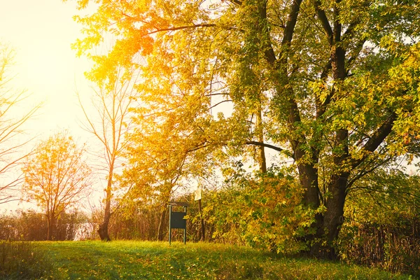 Herfst park bij zonsondergang — Stockfoto