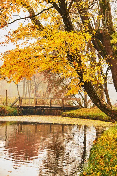 Puente en el parque de otoño — Foto de Stock