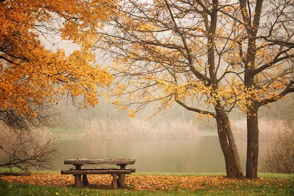 Banco autum parque — Fotografia de Stock