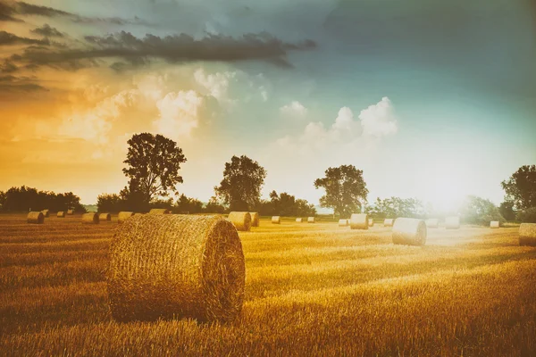 Ballen auf dem Feld — Stockfoto