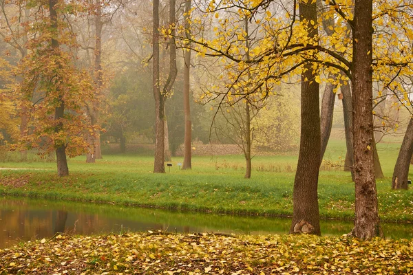 Herfst oranje park — Stockfoto