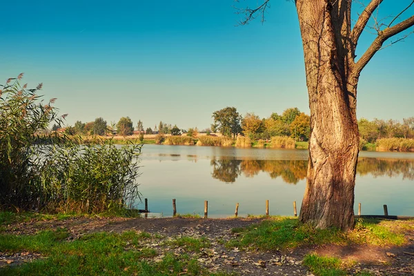 湖の近くの秋の木々 — ストック写真