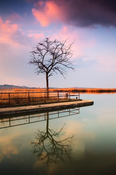 令人惊异的湖景观 — 图库照片