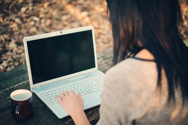 Pige og en bærbar computer i parken - Stock-foto