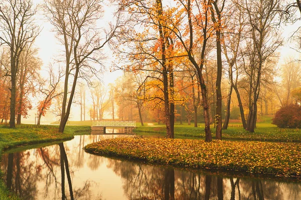 Lago de otoño en el parque — Foto de Stock