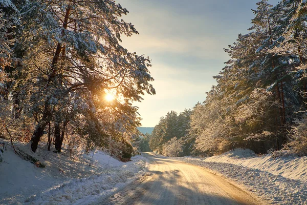 Camino de invierno en el bosque — Foto de Stock