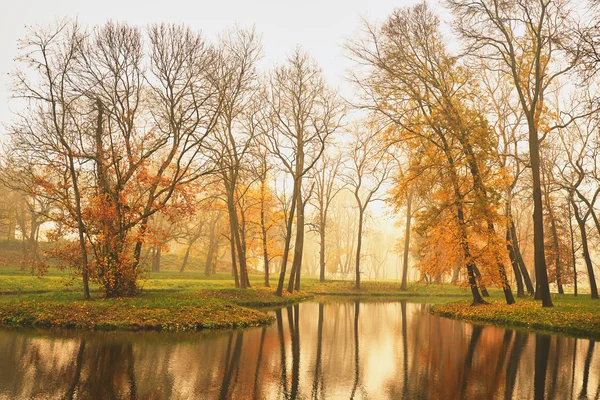 Lago nel parco autunnale — Foto Stock