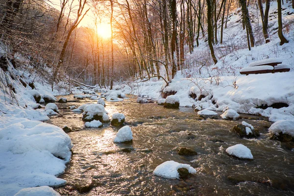 Creek de inverno na floresta — Fotografia de Stock