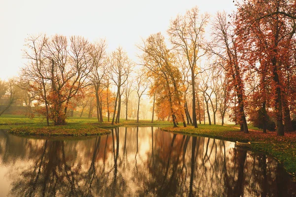 秋の公園の湖 — ストック写真