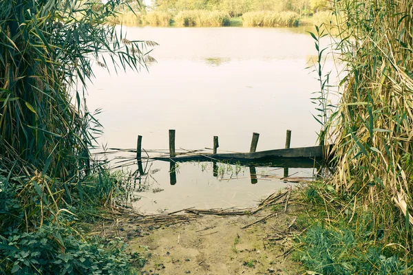 Herfst bomen in de buurt van lake — Stockfoto