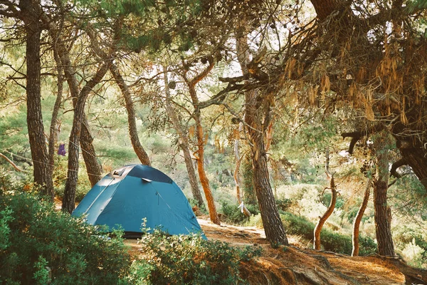 Camping en bosque verde — Foto de Stock