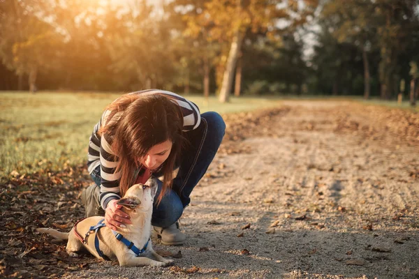 Güzel bir kadın ve küçük köpek — Stok fotoğraf