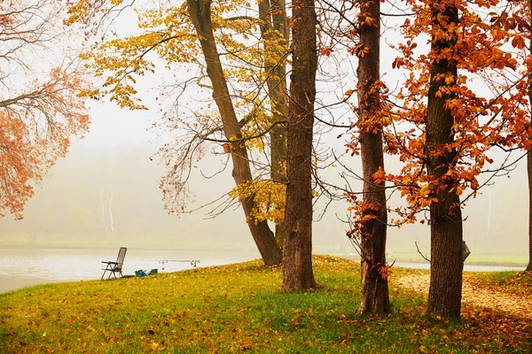 Herfst lake in het park — Stockfoto