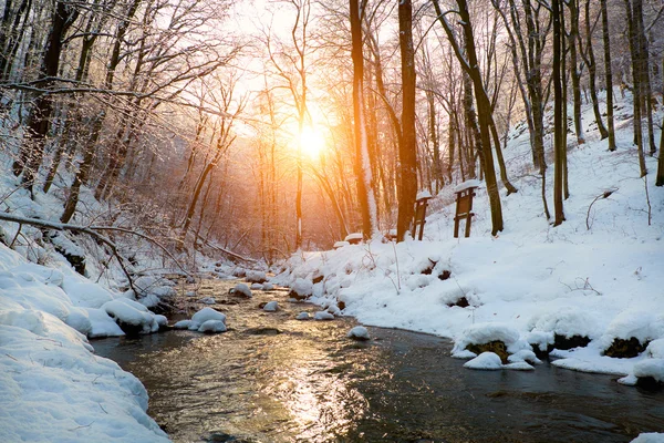 Зимний ручей в лесу — стоковое фото