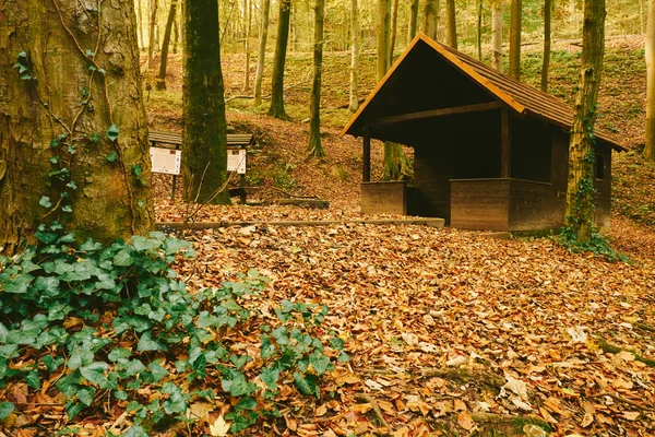 Cabine in de herfst bos — Stockfoto