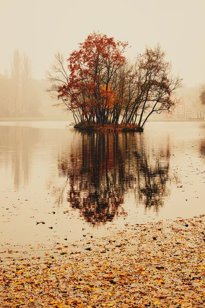 深秋的湖水在公园 — 图库照片