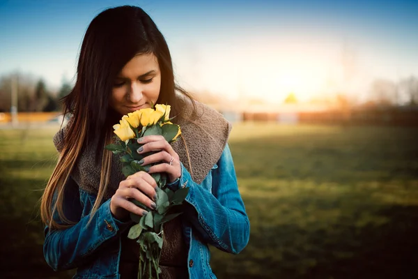 Yellow roses in the park — Stock Photo, Image