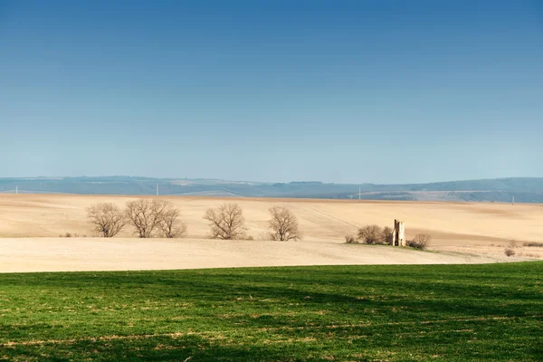 Ruïne op het groene veld — Stockfoto