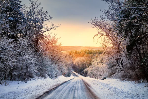 Droga zimowa w lesie — Zdjęcie stockowe