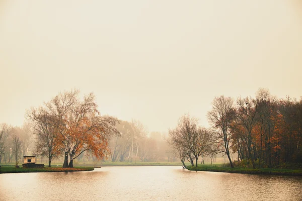 See im Herbstpark — Stockfoto