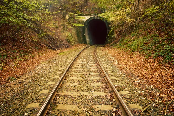 Demiryolu sonbahar orman — Stok fotoğraf