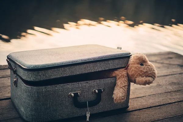 Urso de pelúcia no saco — Fotografia de Stock