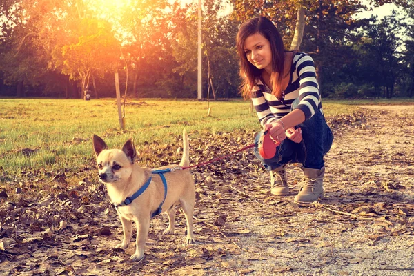 Bella donna e cagnolino — Foto Stock