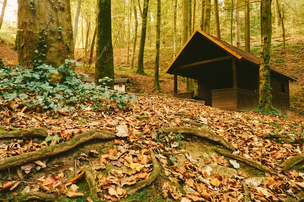 Stuga i skogen höst — Stockfoto