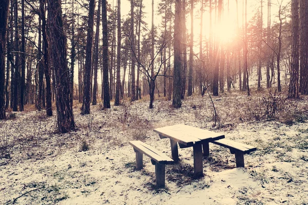 Bänk på vintern skog — Stockfoto