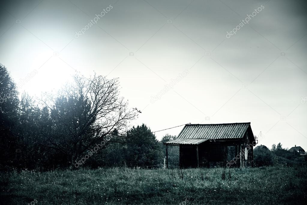 Abandoned wooden cabin