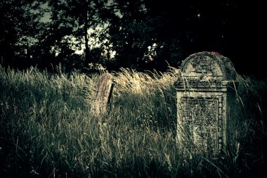 Old retro cemetery