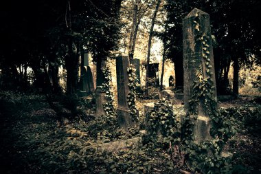 Old retro cemetery
