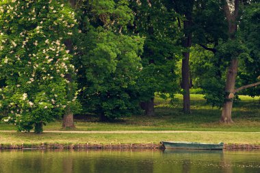 Boat on the lake in park