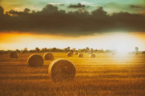 Bales on the field and thunderous sky — Stock Photo, Image