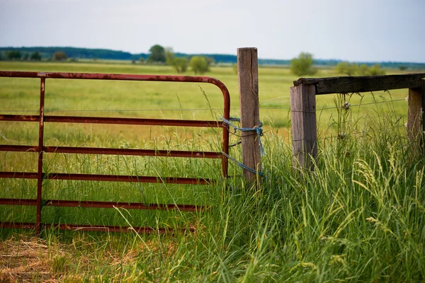 Wooden fence on pasture — Stock Photo, Image