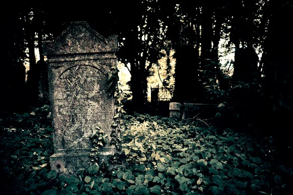 Old retro cemetery — Stockfoto