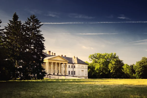 Wit kasteel in park — Stockfoto