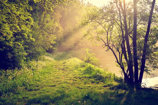 Misty lake shore — Stock Photo, Image