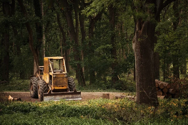 Viejo tractor en el bosque — Foto de Stock