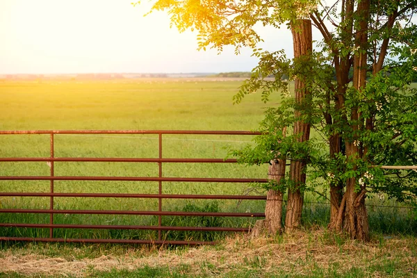 Houten hek op de weide — Stockfoto