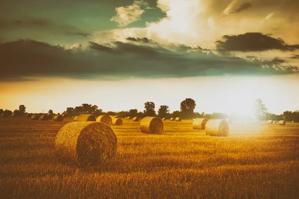 Bales on the field and cloudy sky — Stock Photo, Image